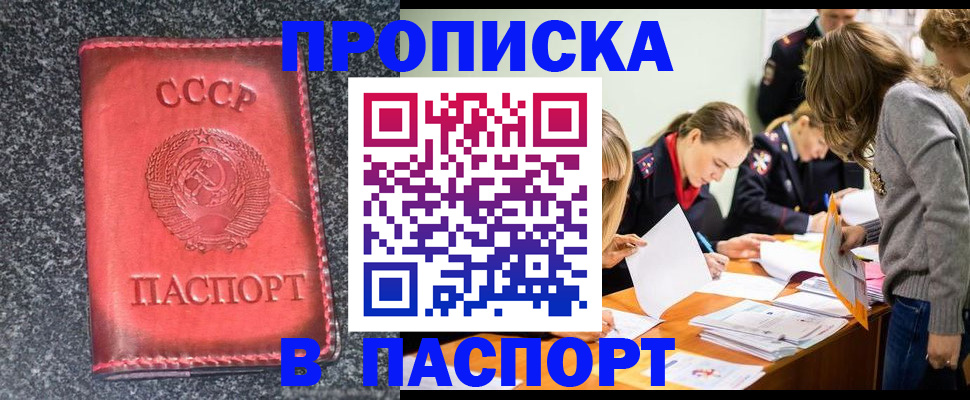 прописка для школы в Бабаево